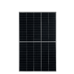 risen-440w-1.png
